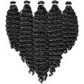 Burmese Curly